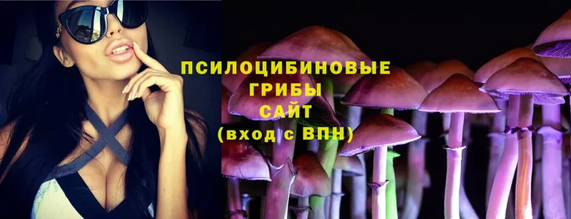 Псилоцибиновые грибы Psilocybine cubensis  как найти   Глазов 