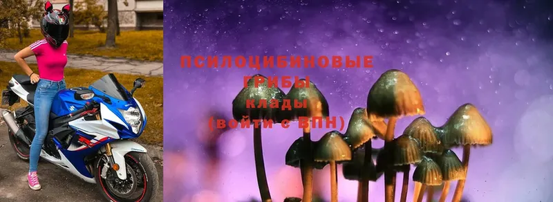 Галлюциногенные грибы MAGIC MUSHROOMS Глазов